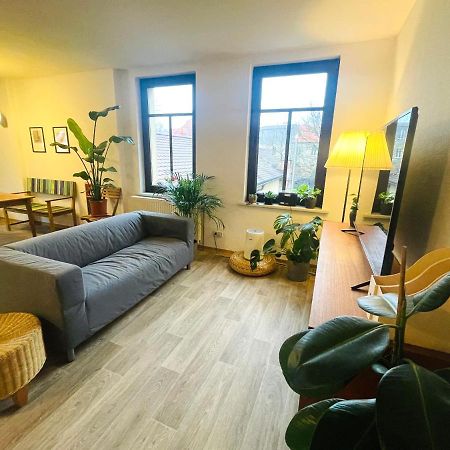 P6 - Familienwohnung Am Park Und Saale Halle  Kültér fotó