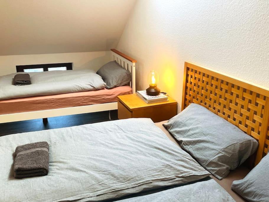 P6 - Familienwohnung Am Park Und Saale Halle  Kültér fotó