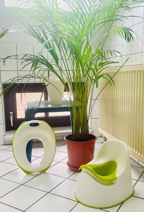 P6 - Familienwohnung Am Park Und Saale Halle  Kültér fotó